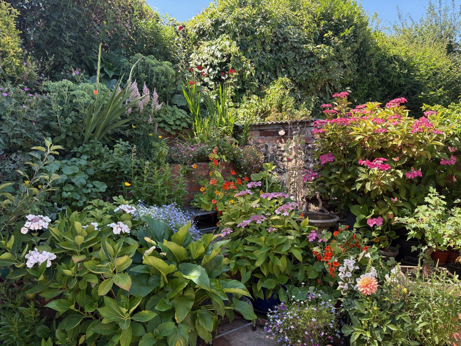 Hungerford in Bloom